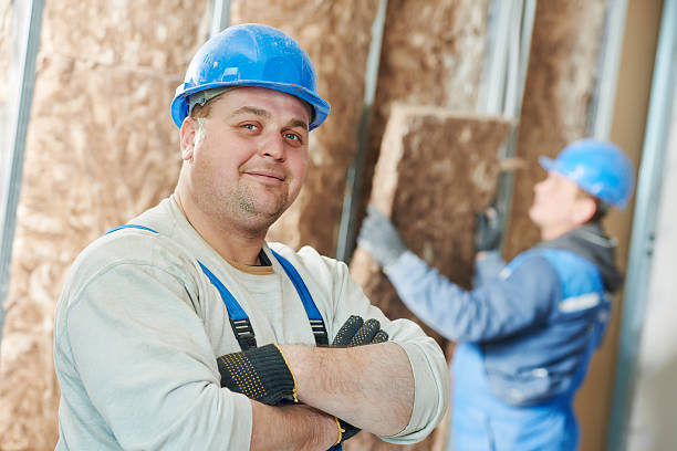 Best Eco-Friendly Insulation in Lyman, SC